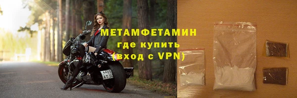 прущие грибы Вязники