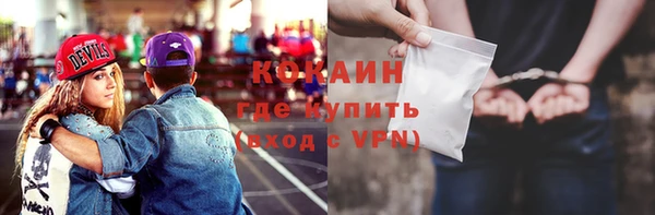 прущие грибы Вязники