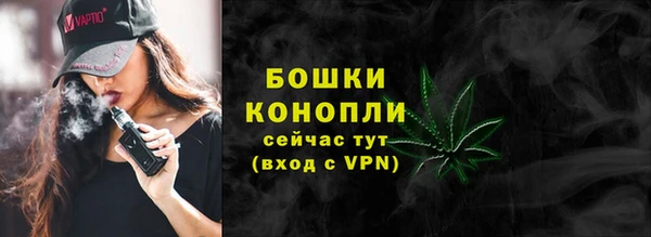 прущие грибы Вязники