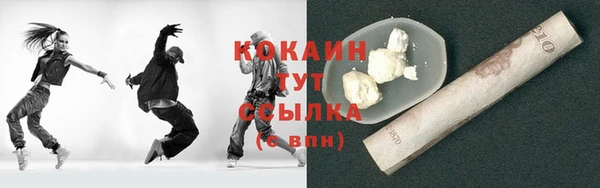 прущие грибы Вязники
