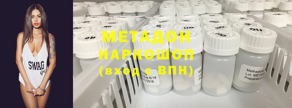 прущие грибы Вязники