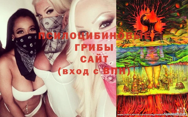 скорость Вяземский