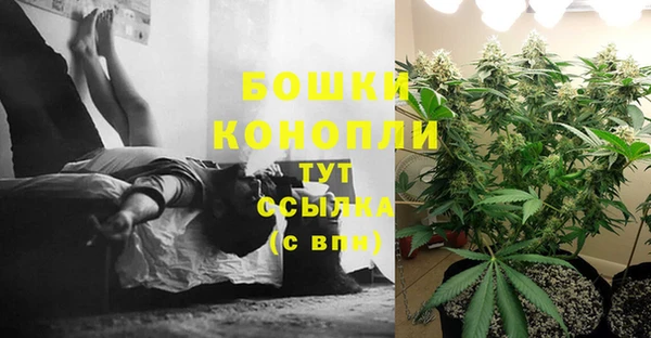 ALPHA-PVP Горняк