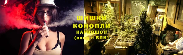прущие грибы Вязники