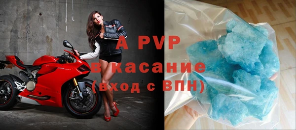 прущие грибы Вязники